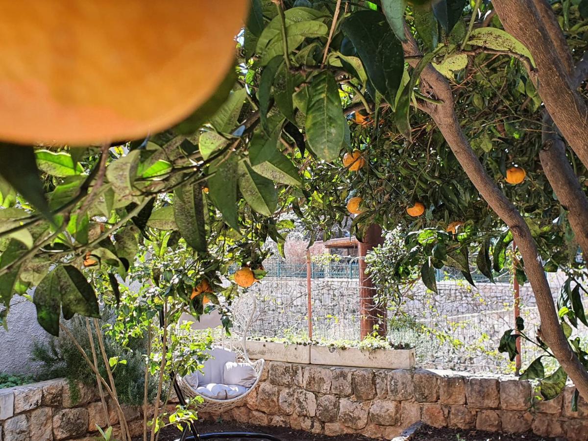 Barbara'S Garden Apartment ดูบรอฟนิก ภายนอก รูปภาพ